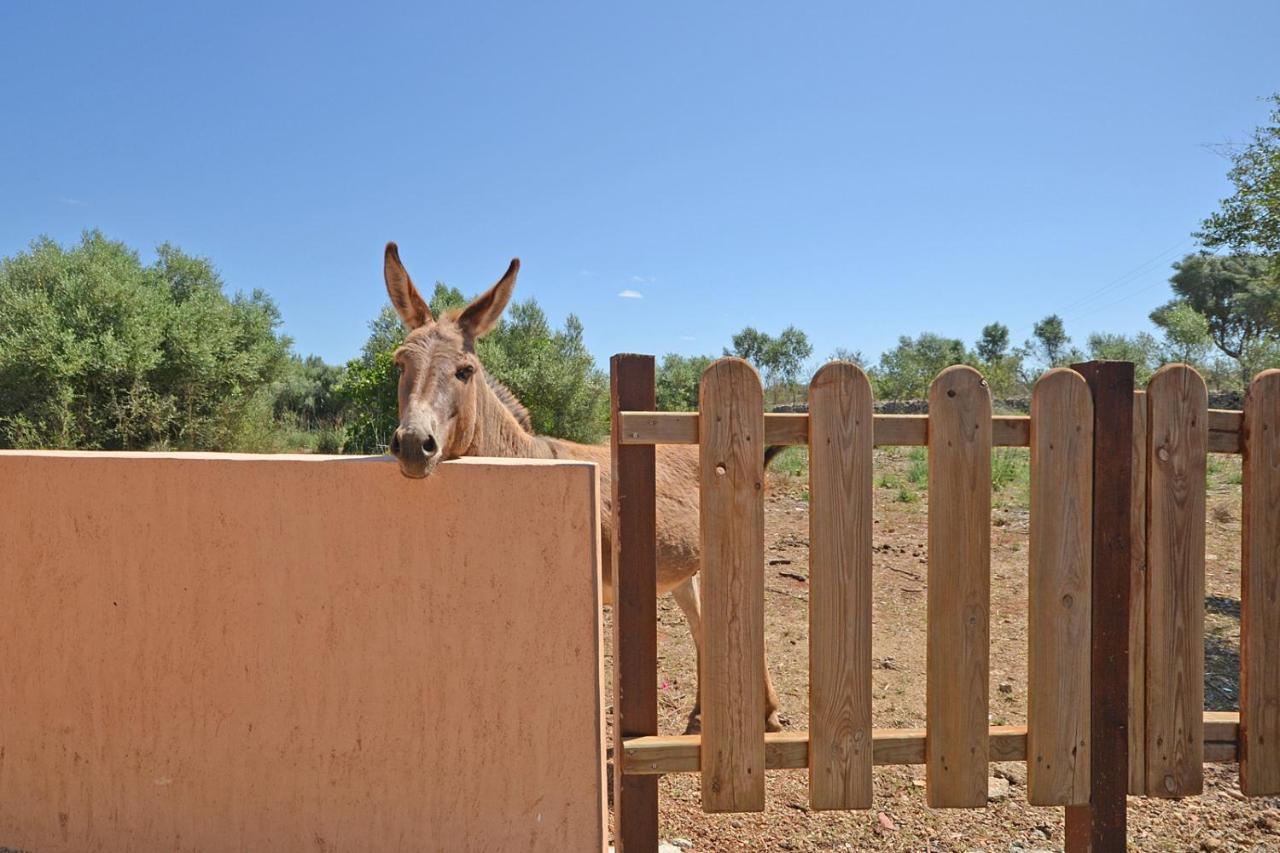 Villa Calderitx Ariany Dış mekan fotoğraf